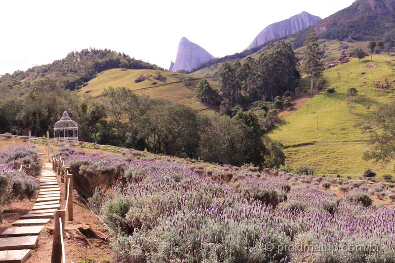 Lavandário Pedra Azul, no Espírito Santo