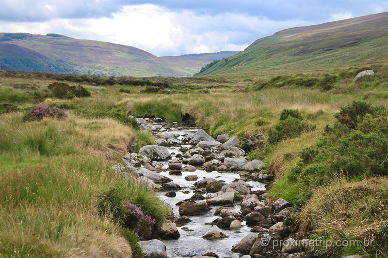 As belezas naturais do Parque Nacional das Montanhas de Wicklow