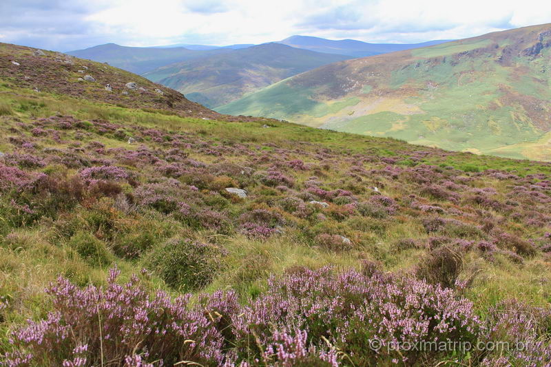 paisagem de tirar o fôlego em Wicklow Mountains, na Irlanda