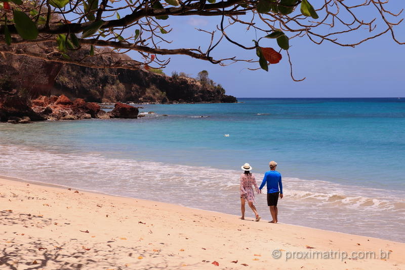 o que fazer em Granada, Caribe: a ilha é cheia de natureza