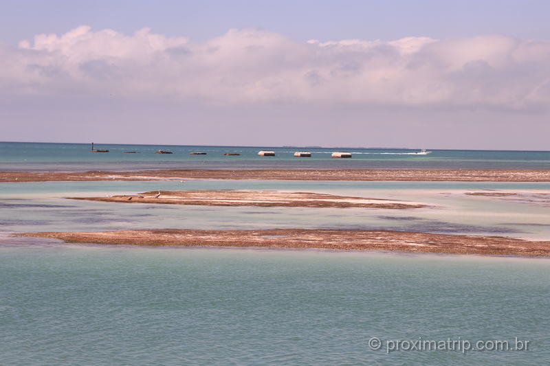 Paisagem em Key Largo, Florida Keys