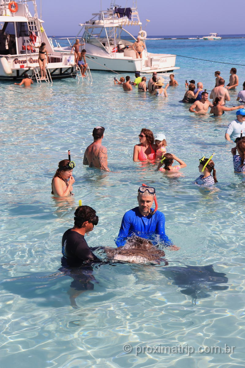 Turistas visitam Stingray City, em Grand Cayman