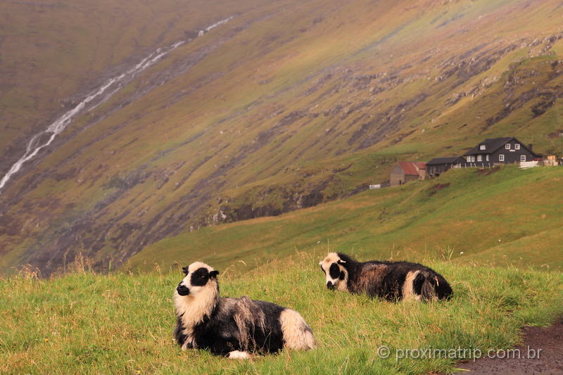 a paisagem bucólica das Ilhas Faroé